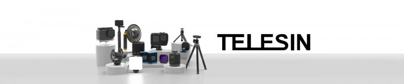 Telesin