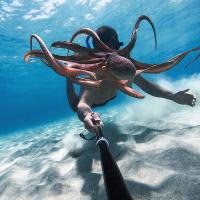 GoPro HERO9 Black 2. Wahl