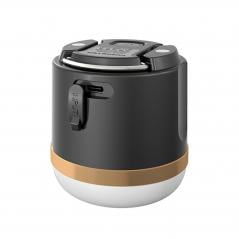 EcoFlow Camping Light