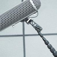 digitalfoto Microphone Boompole