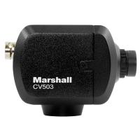 Marshall CV503