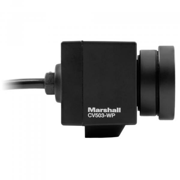 Marshall CV503-WP